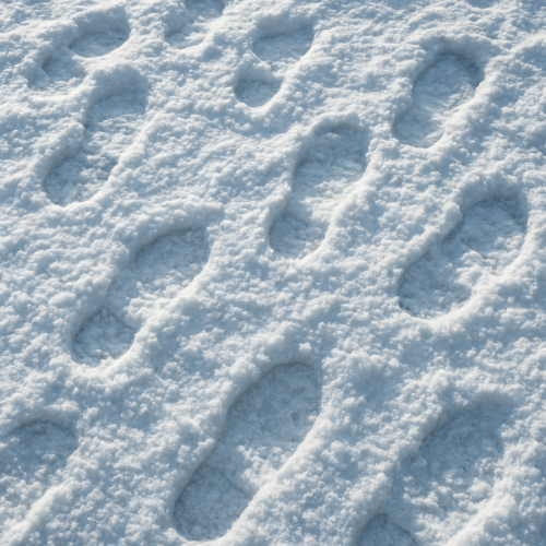 Footprints in crunchy snow on a cold day